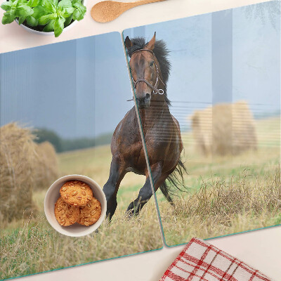 Planche à découper verre Un cheval dans le pré