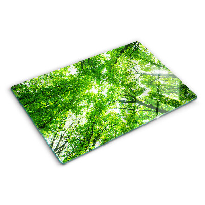 Planche à découper en verre Forêts et arbres verts