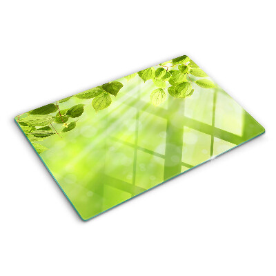 Planche à découper en verre Feuilles vertes contre la lumière