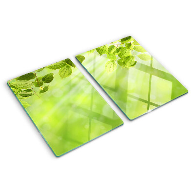 Planche à découper en verre Feuilles vertes contre la lumière
