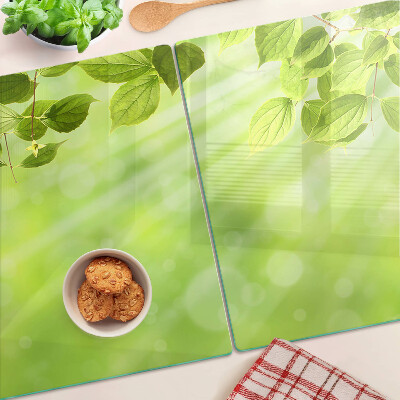 Planche à découper en verre Feuilles vertes contre la lumière