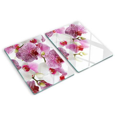 Planche à découper en verre Orchidées en arrière-plan de la fenêtre