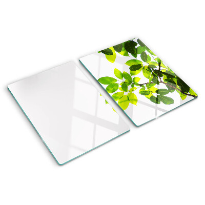 Planche à découper verre Feuilles contre un ciel lumineux