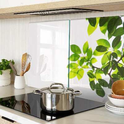 Planche à découper verre Feuilles contre un ciel lumineux
