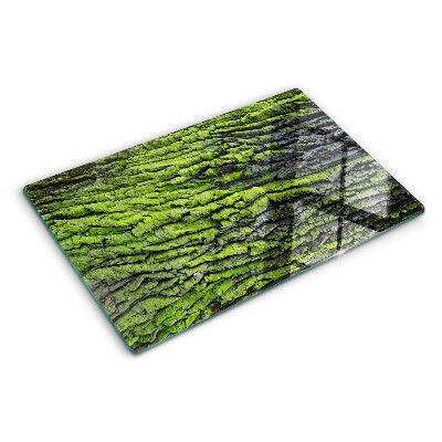 Planche à découper verre Écorce d'arbre verte