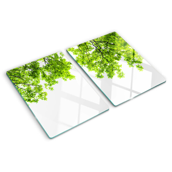 Planche à découper en verre Feuilles vertes contre le ciel