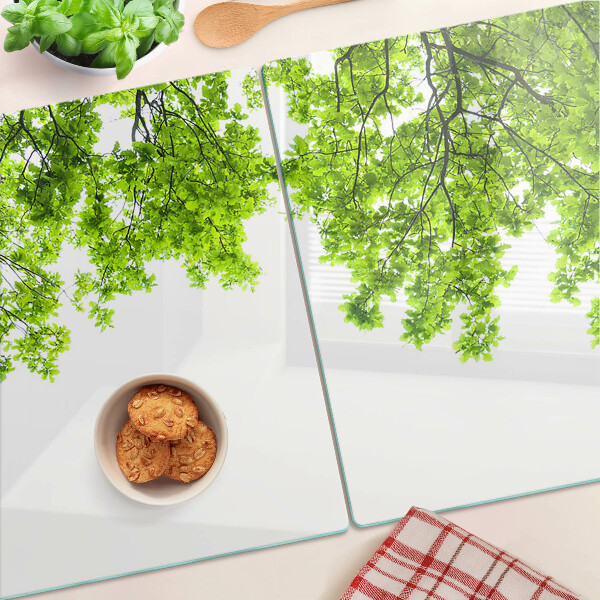 Planche à découper en verre Feuilles vertes contre le ciel