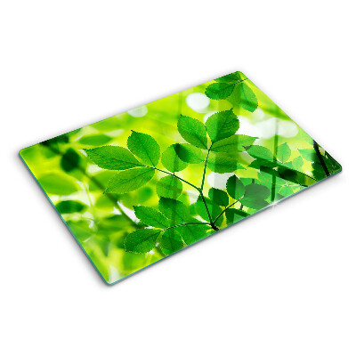 Planche à découper verre Feuilles sur fond vert