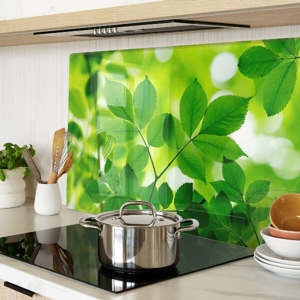 Planche à découper verre Feuilles sur fond vert