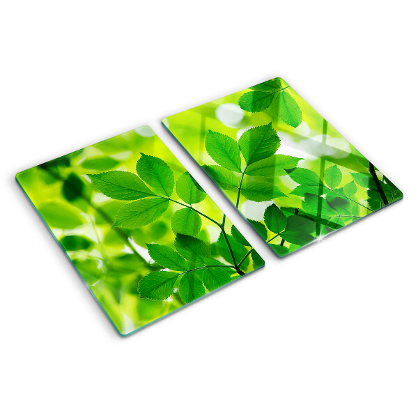 Planche à découper verre Feuilles sur fond vert