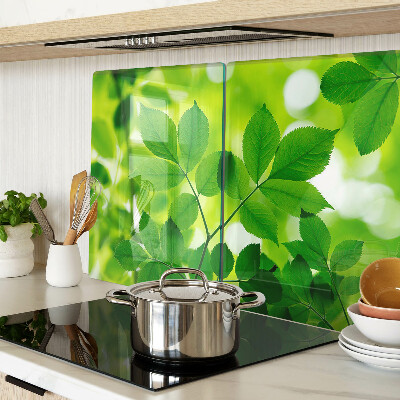 Planche à découper verre Feuilles sur fond vert