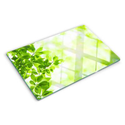 Planche à découper en verre Feuilles vertes à la lumière