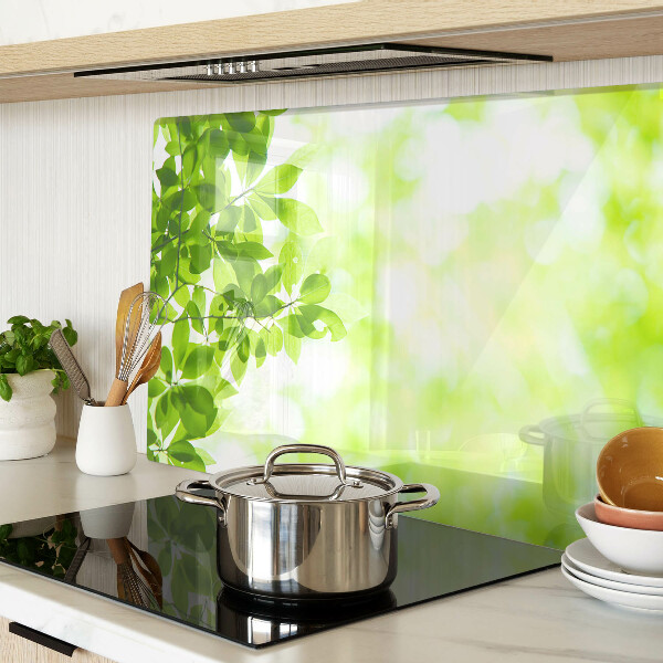 Planche à découper en verre Feuilles vertes à la lumière