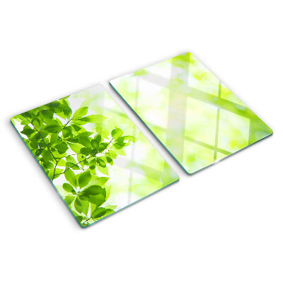 Planche à découper en verre Feuilles vertes à la lumière