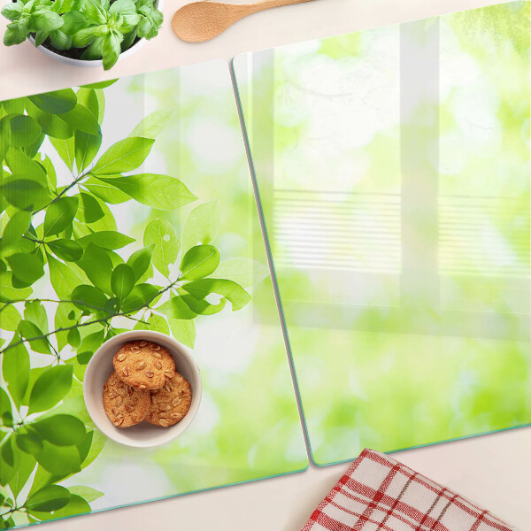 Planche à découper en verre Feuilles vertes à la lumière