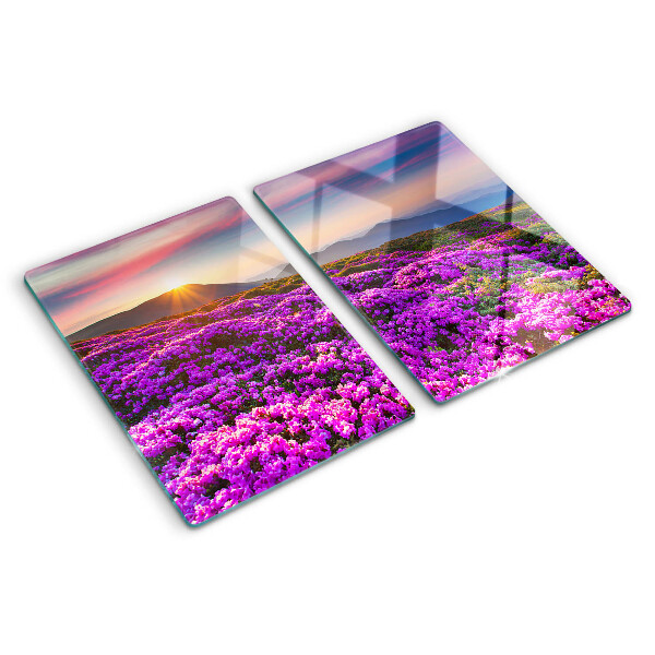 Planche à découper verre Paysage floral au coucher du soleil