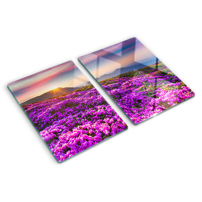Planche à découper verre Paysage floral au coucher du soleil