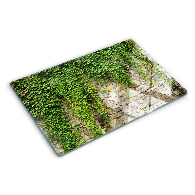 Planche à découper verre Mur végétalisé avec de la mousse