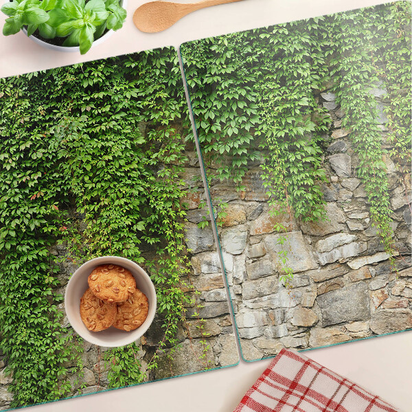 Planche à découper verre Mur végétalisé avec de la mousse