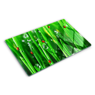 Planche à découper en verre Gouttes d'eau sur l'herbe avec des coccinelles