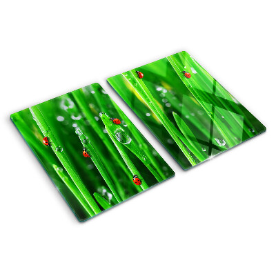 Planche à découper en verre Gouttes d'eau sur l'herbe avec des coccinelles