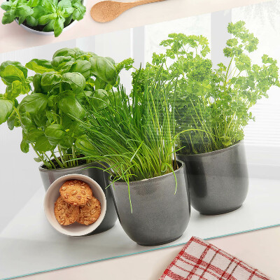 Planche à découper verre Herbes en pots