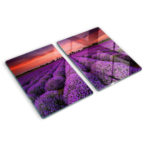 Planche à découper verre Champ de lavande au coucher du soleil