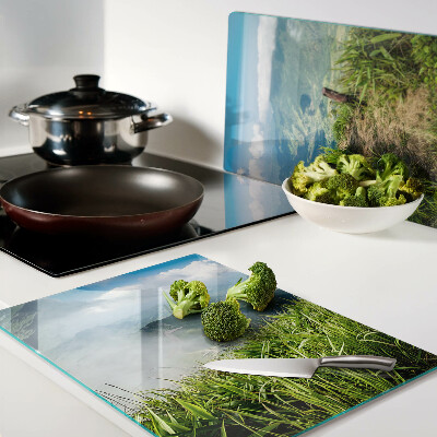Planche à découper verre Paysage de montagne avec verdure