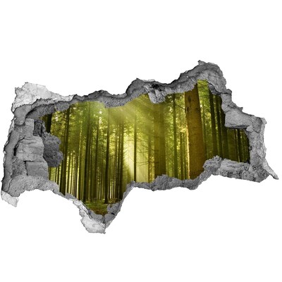 Sticker mural effet trou 3d Forêt verte le matin