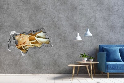 Sticker mural effet trou 3d Coquillages sur bois béton