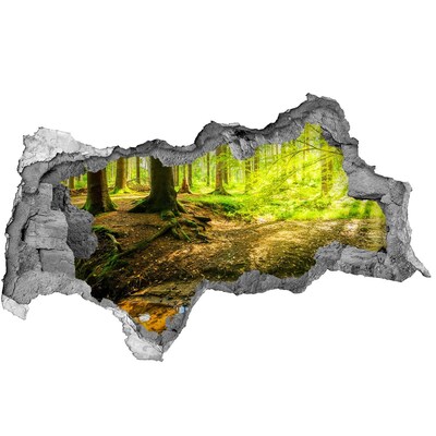 Sticker trou dans le mur Forêt verdoyante traversée par un ruisseau