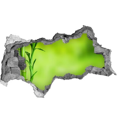 Sticker mural effet trou 3d Une oasis de verdure derrière le mur