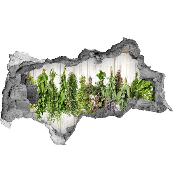 Autocollant mural trou jardin d'herbes aromatiques en ruines