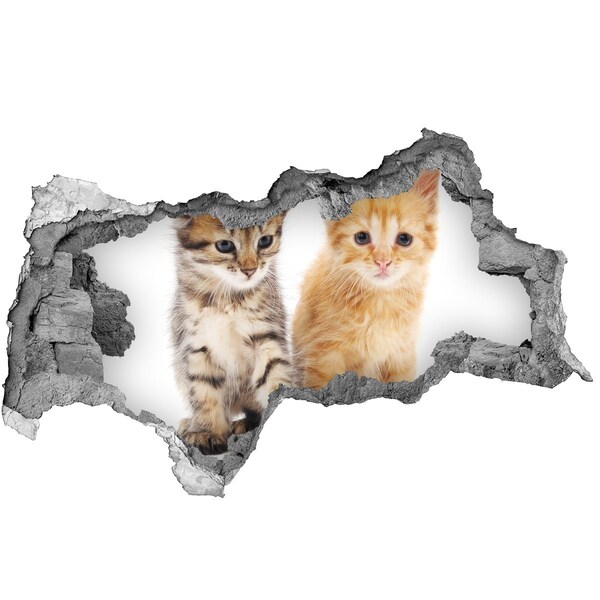 Autocollant à effet 3d trou Des amis chats derrière le trou