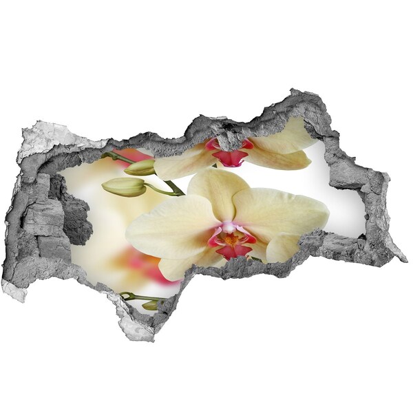 Sticker mural effet trou 3d Des orchidées dans un mur brisé