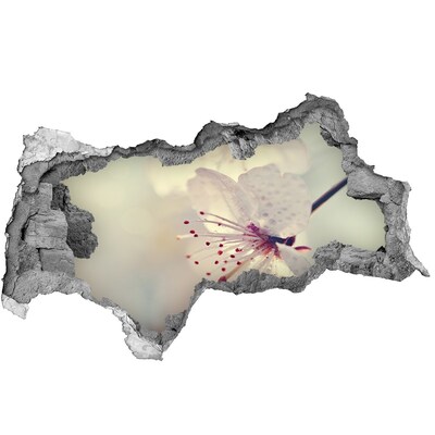 Autocollant à effet 3d trou Un rêve floral derrière le mur
