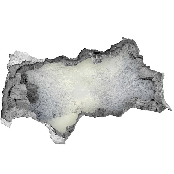 Autocollant mural trou Paysage d'hiver derrière le mur