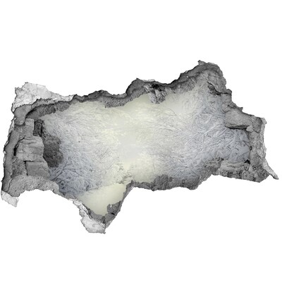 Autocollant mural trou Paysage d'hiver derrière le mur