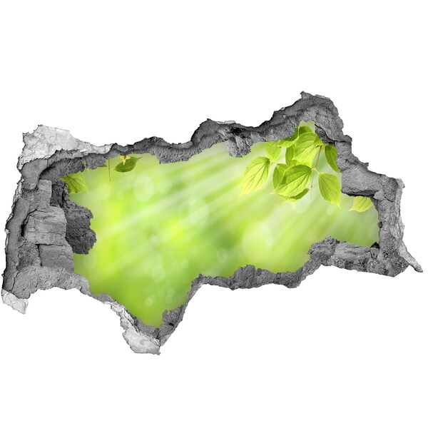 Autocollant à effet 3d trou Un paradis verdoyant derrière le mur