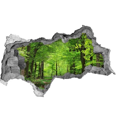 Autocollant à effet 3d trou Forêt de printemps béton