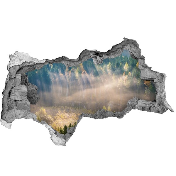 Sticker trou dans le mur Paysage forestier derrière le mur
