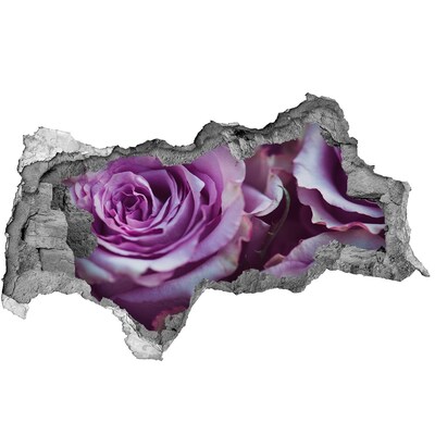 Autocollant à effet 3d trou Roses pourpres béton