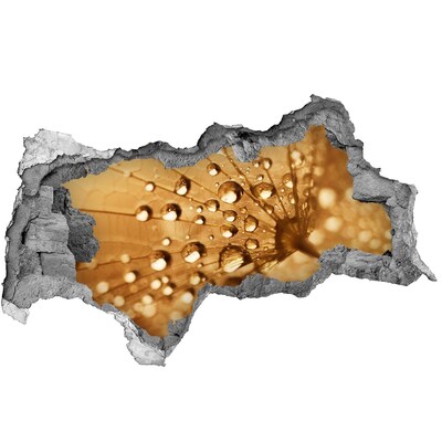 Sticker mural effet trou 3d Des gouttes sur une feuille