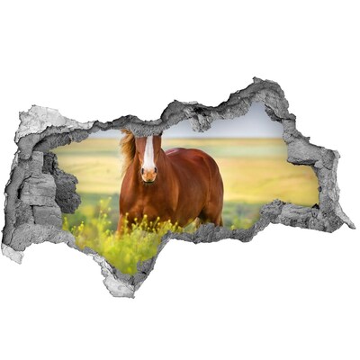 Sticker trou dans le mur Un cheval dans le pré