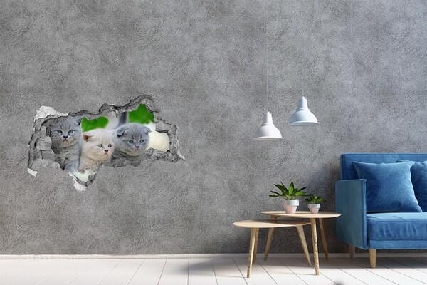 Autocollant mural trou Des chatons dans un trou dans le mur