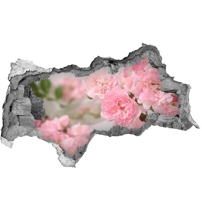 Autocollant à effet 3d trou Roses sauvages béton