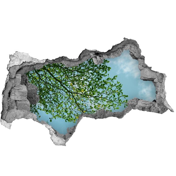 Sticker mural effet trou 3d Feuilles vertes sous un ciel bleu