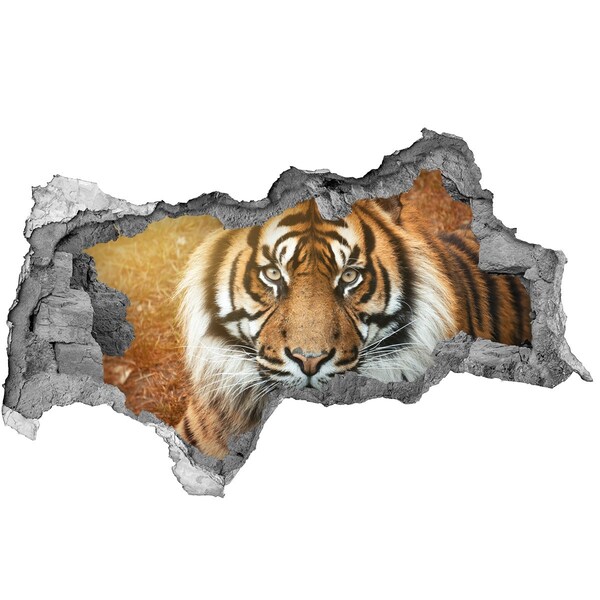 Sticker mural effet trou 3d Tigre dans un trou dans le mur