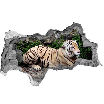 Autocollant à effet 3d trou Le tigre dans son habitat naturel