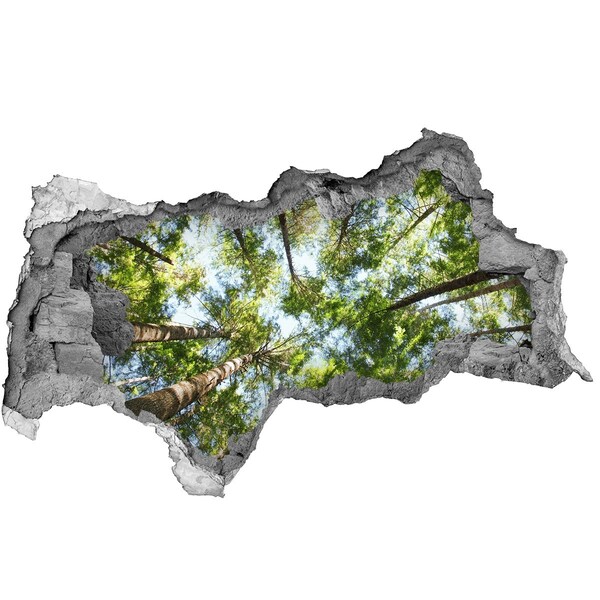 Autocollant mural trou Vue de la forêt sous un ciel bleu